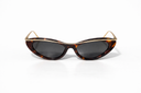Selene Tortoise