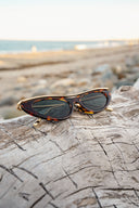 Selene Tortoise